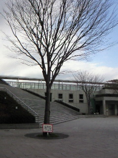 �Y�킾������
