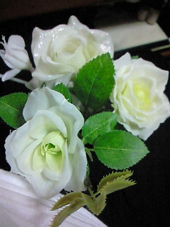 (untitled)