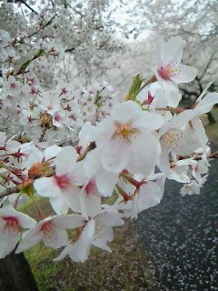 (untitled)
