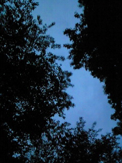 (untitled)