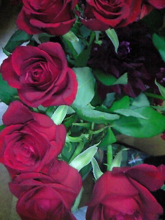(untitled)