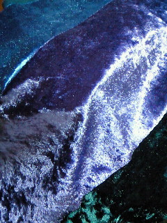(untitled)