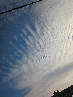 (untitled)