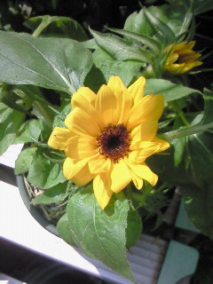 (untitled)