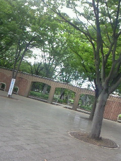(untitled)