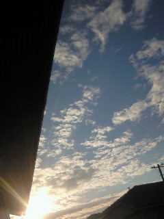 (untitled)
