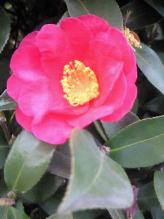 (untitled)