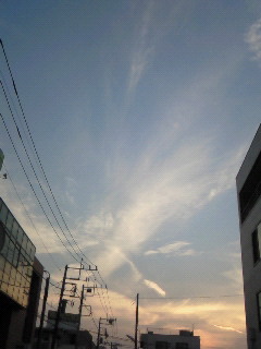 (untitled)