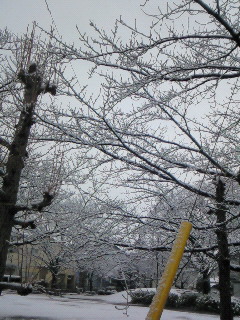 (untitled)