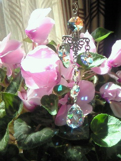 (untitled)