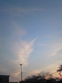 (untitled)