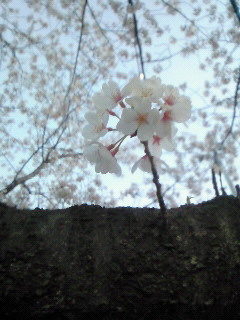 (untitled)