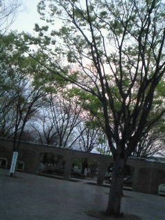 (untitled)