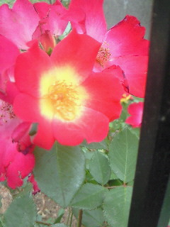 (untitled)