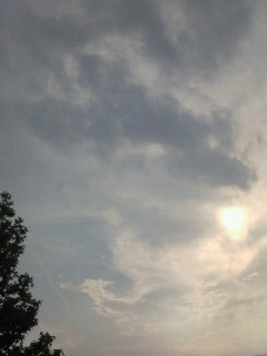(untitled)