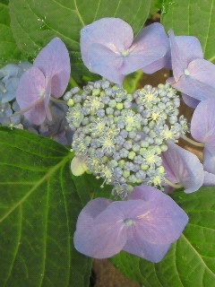 (untitled)