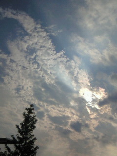 (untitled)