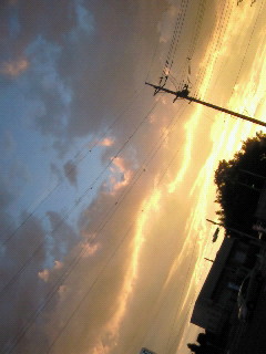 (untitled)