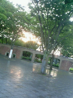 (untitled)
