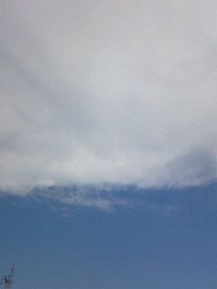 (untitled)