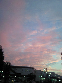 (untitled)