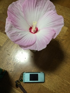 �ł����I